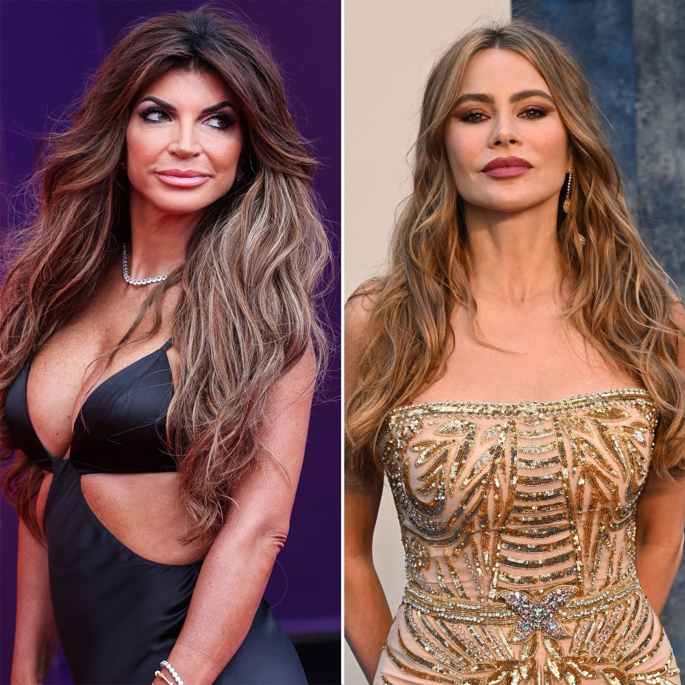 Teresa Giudice Explains Why Sofia Vergara Is the Rudest Woman She Ever Met