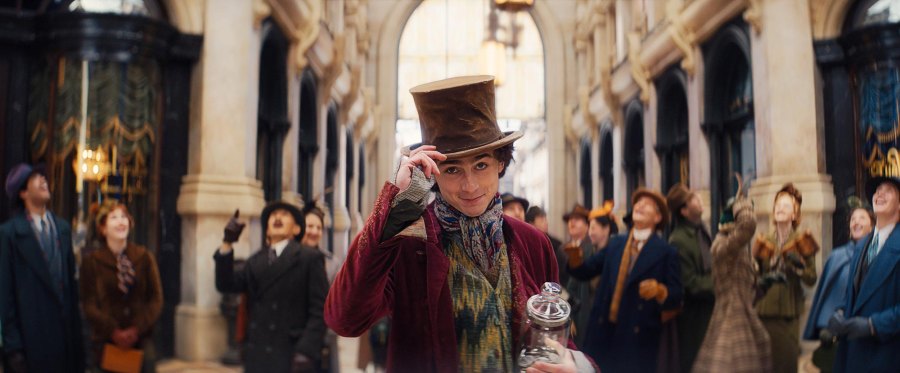 Timothee Chalamet Is Willy Wonka Everything to Know About the Wonka Prequel 259