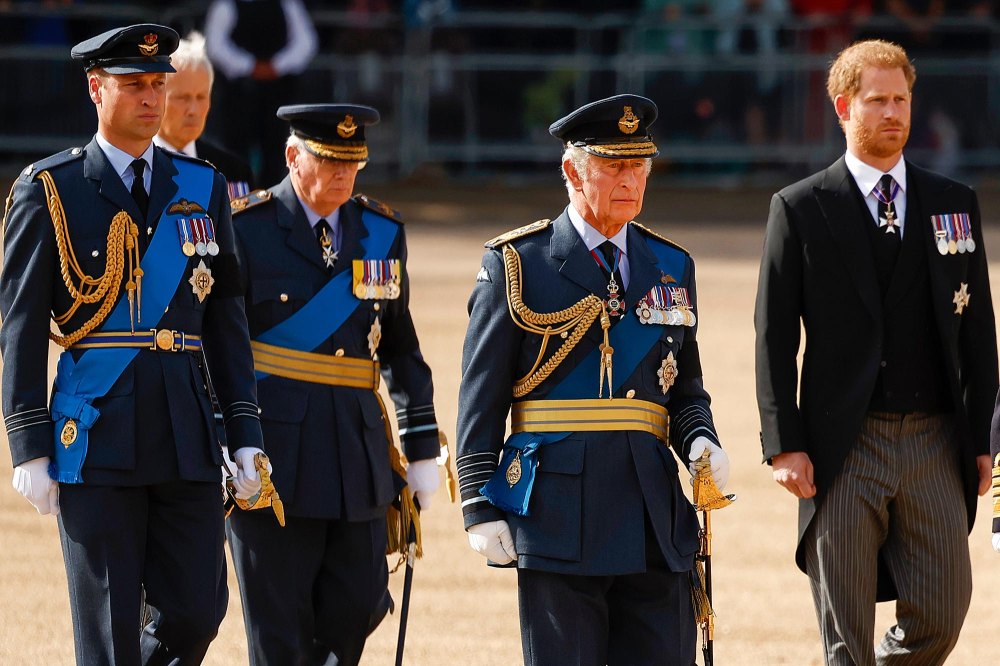 King Charles III Just Put Prince William in Charge of Prince Harry s Old Military Unit 268