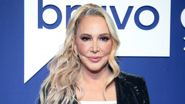 Lawyer Predicts How ‘RHOC’ Star Shannon Beador’s DUI Case Will Not Result in Jail Time