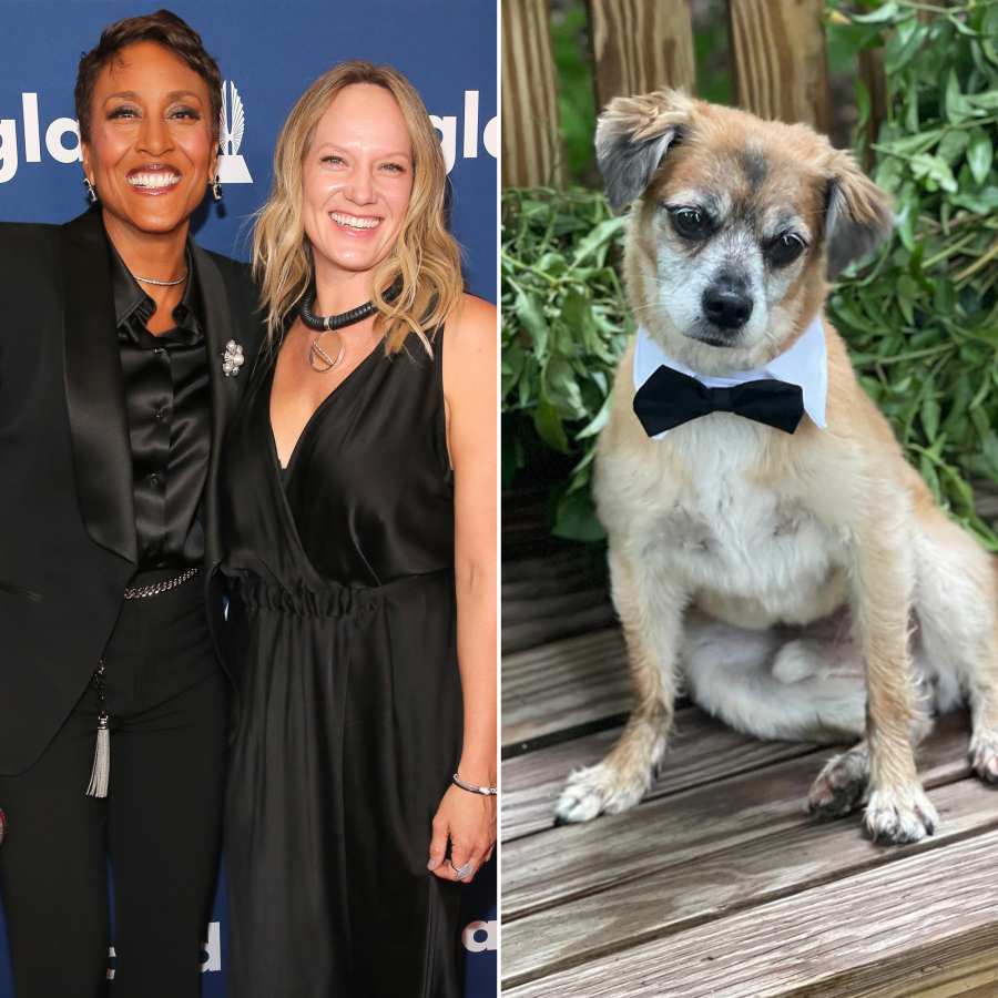 Celebs Whose Dogs Were Featured in Their Weddings Robin Roberts and Amber Laign
