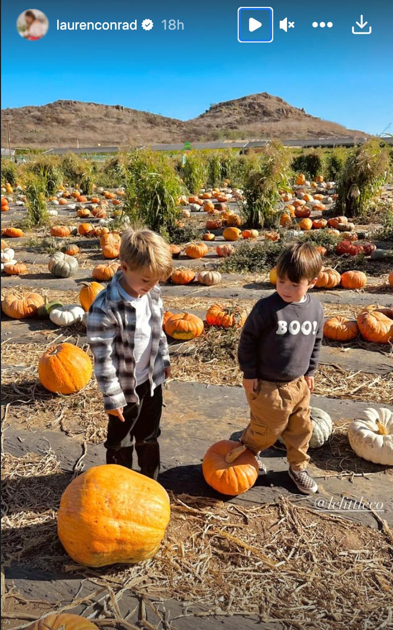Celebs at Pumpkin Patches in 2023
