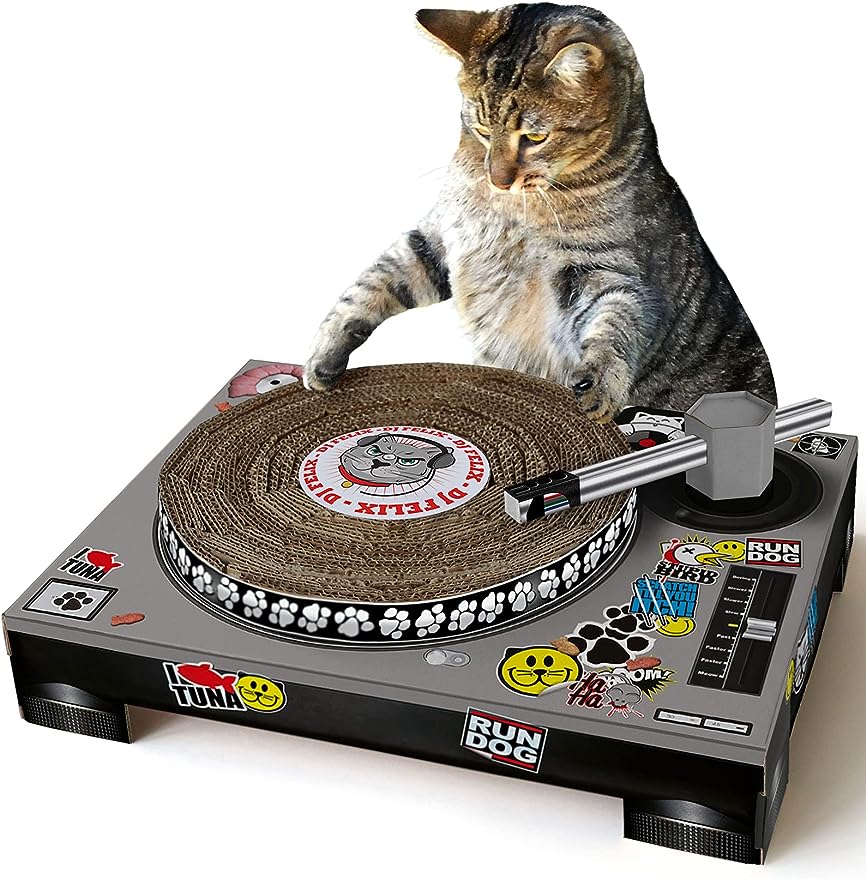 Dj Cat Scratch Turntable
