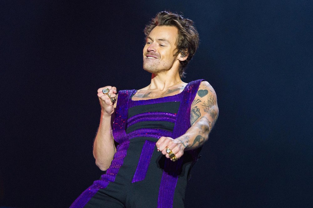 Harry Styles Fans Are in Mourning After Singer Shaves Off His Beloved Curls 495