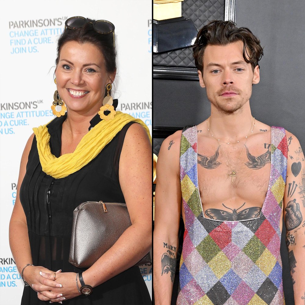 Harry Styles Mom Anne Addresses Negativity Surrounding His New Haircut 263