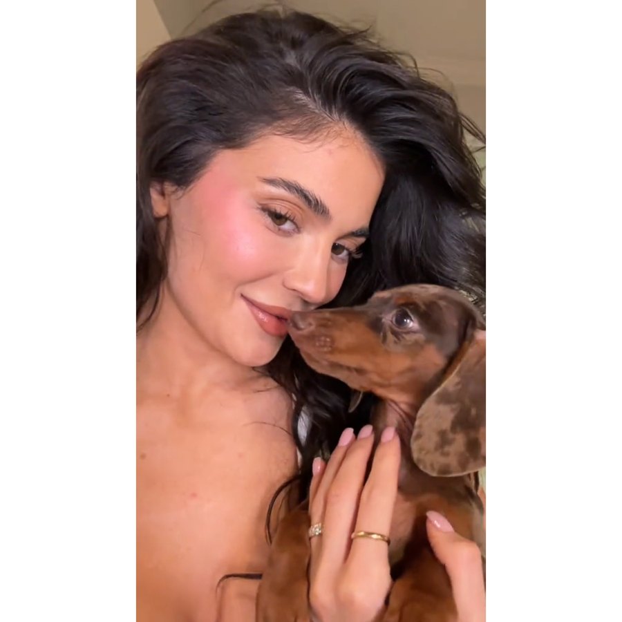 Kylie Jenner Introduces New Puppy: A Guide to the Kardashian-Jenners' Dogs
