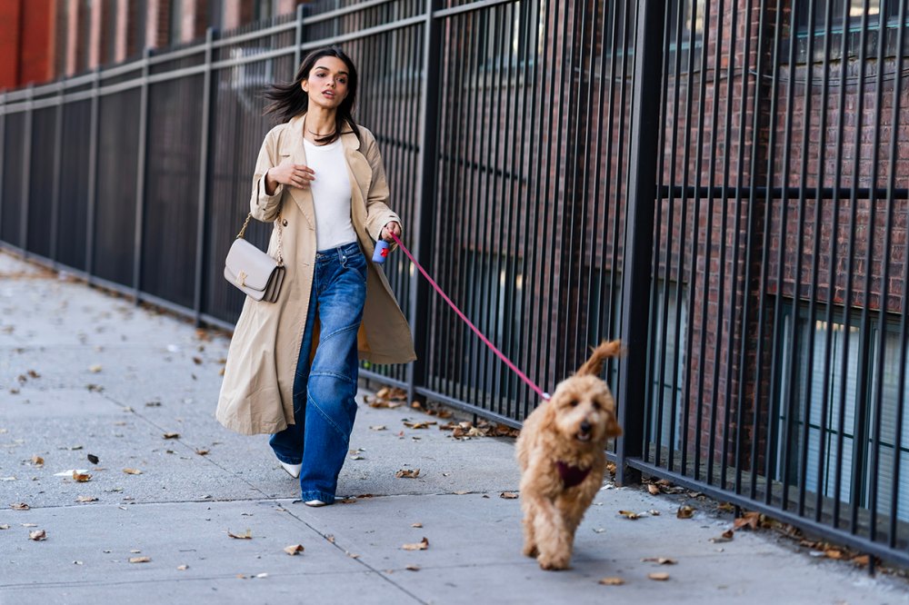 Rachel Zegler walking her dog in Long Island City on November 02, 2023.