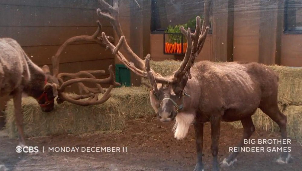 Everything to Know About Big Brother Reindeer Games 987