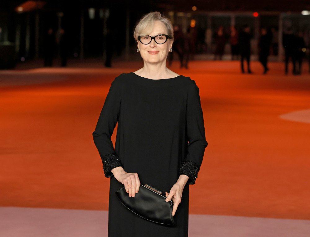 Meryl Streep Makes Steps Out With All 4 Kids at Academy Museum Gala