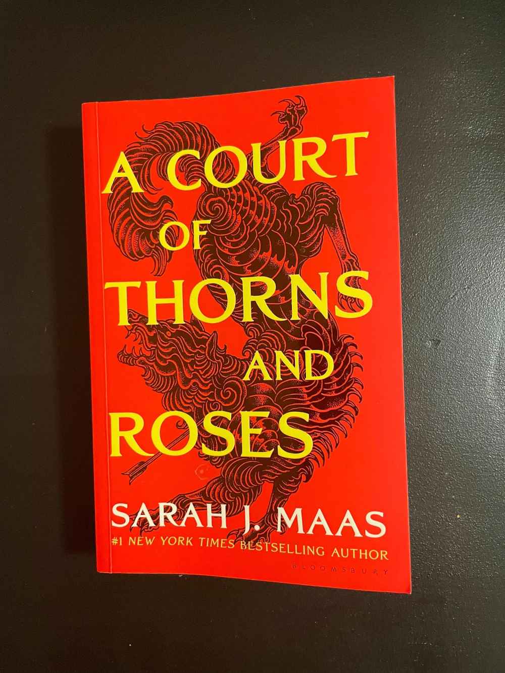 Sarah J Maas A Court of Thorns and Roses Show Adaptation Is No Longer in the Works at Hulu 090