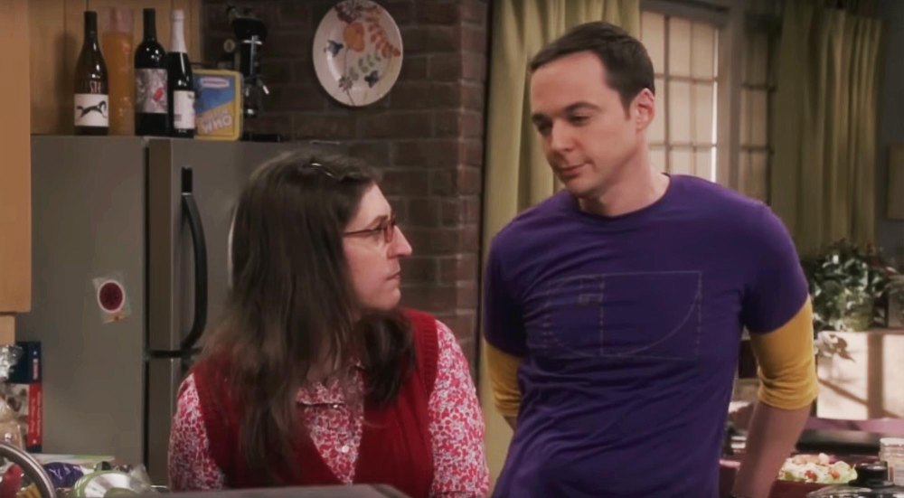 Jim Parsons and Mayim Bialik Will Reprise Their Roles for ‘Young Sheldon’ Series Finale 448