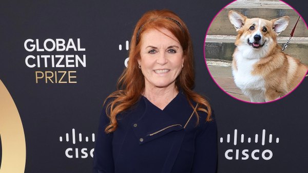 Sarah Ferguson Says Her and Queen Elizabeth II s Dogs Are Doing Very Well and All Get Along 521