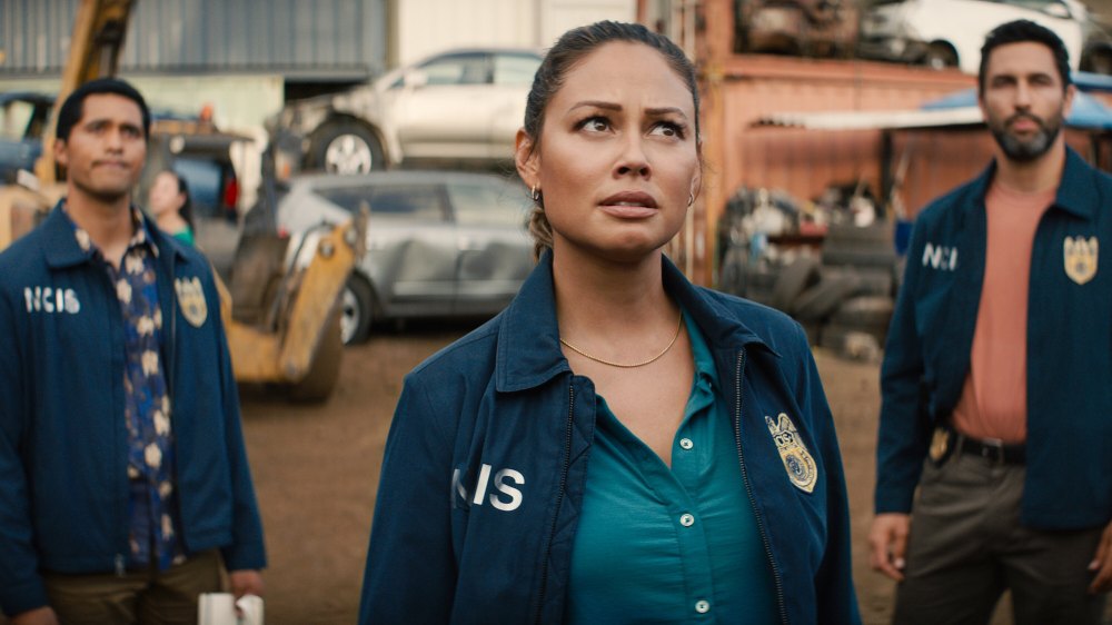 Vanessa Lachey Shares NCIS Hawai i s High Audience Stats Amid Cancelation