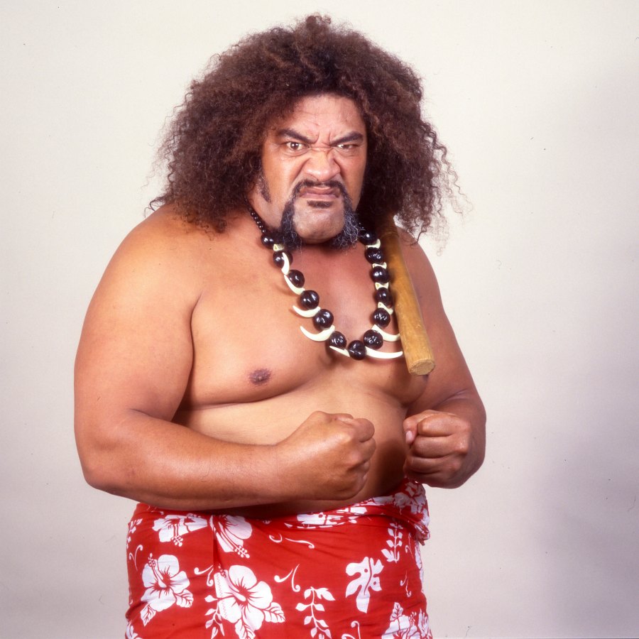 Celebrity Deaths of 2024 Stars We Lost This Year Sika Anoa i