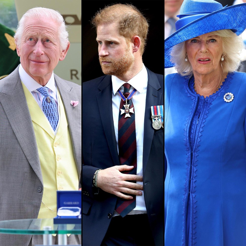 King Charles Is Torn Between Prince Harry and Queen Camilla Harbors a Lot of Anger