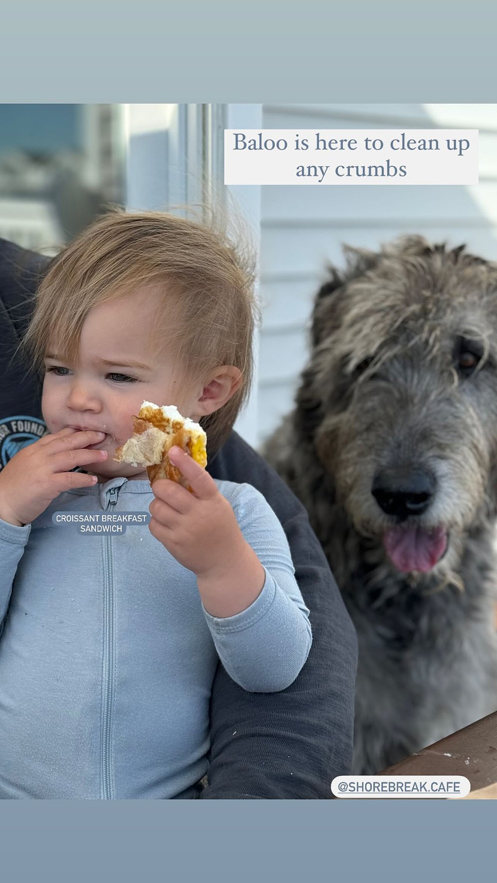 Kylie Kelce Shares Adorable Photo of Baby Bennett Eating Pop-Tart, Jokes Dog Will 'Clean Up' Crumbs