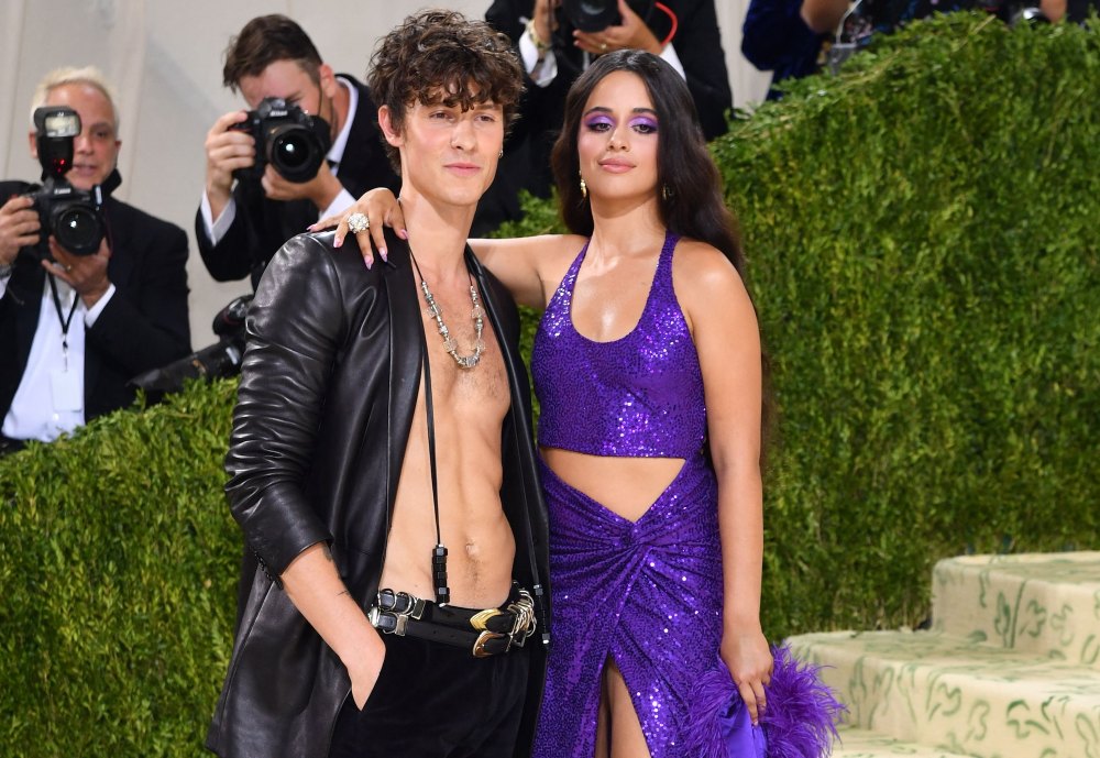 Camila Cabello y Shawn Mendes vistos juntos en la final de la Copa América