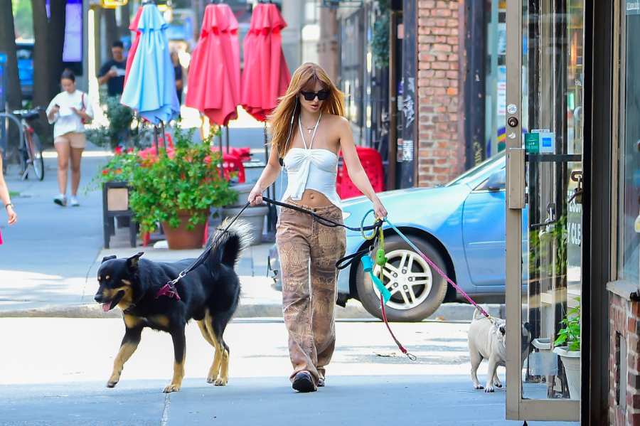 Emily Ratajkowski s Best Style Moments While Walking Her Dog