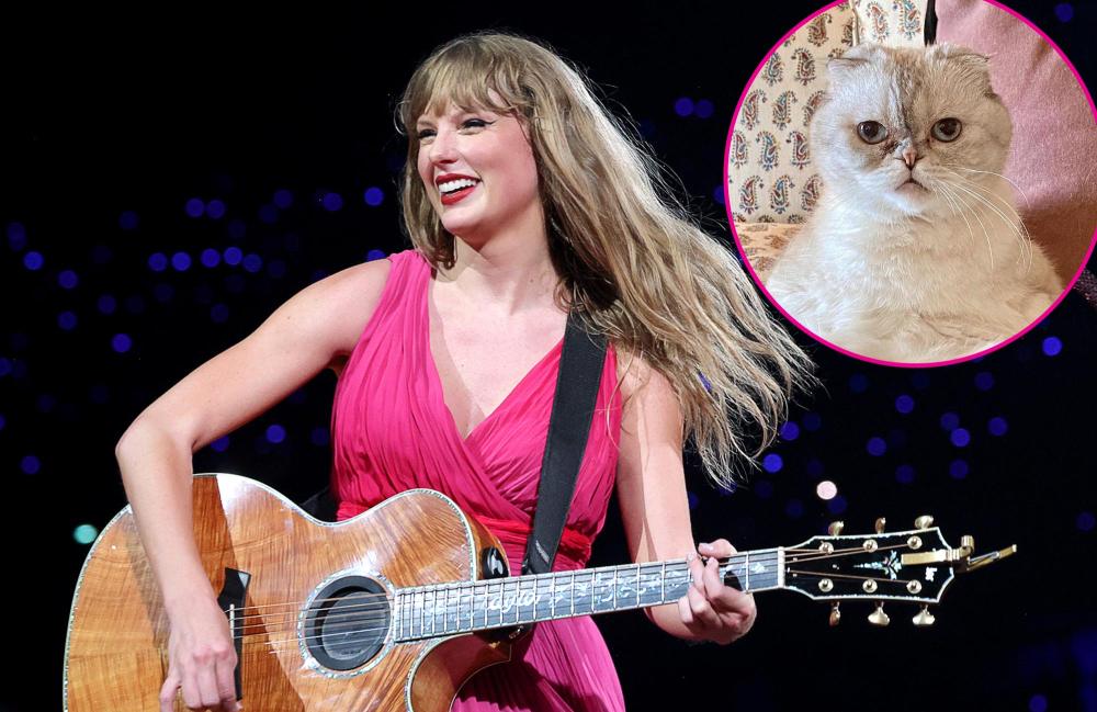 Swifties Think They Hear Taylor Swift s Cat Meow on New Episode of New Heights 318