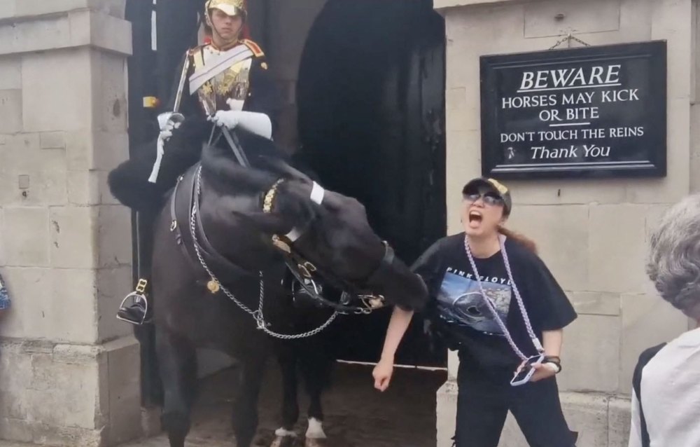 Viral Moments From Outside Buckingham Palace