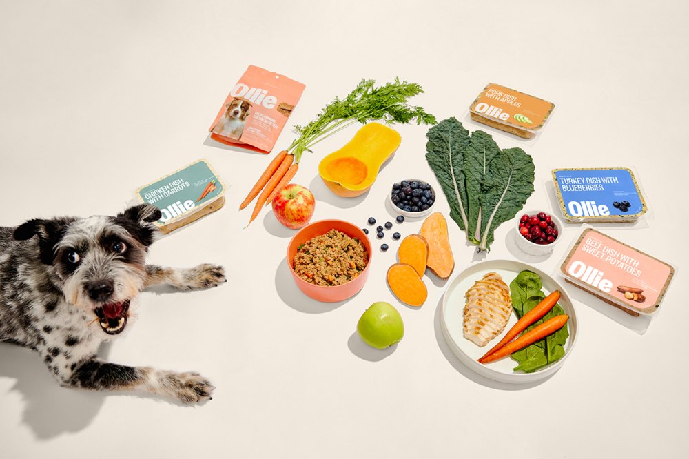 ollie-dog-ingredients