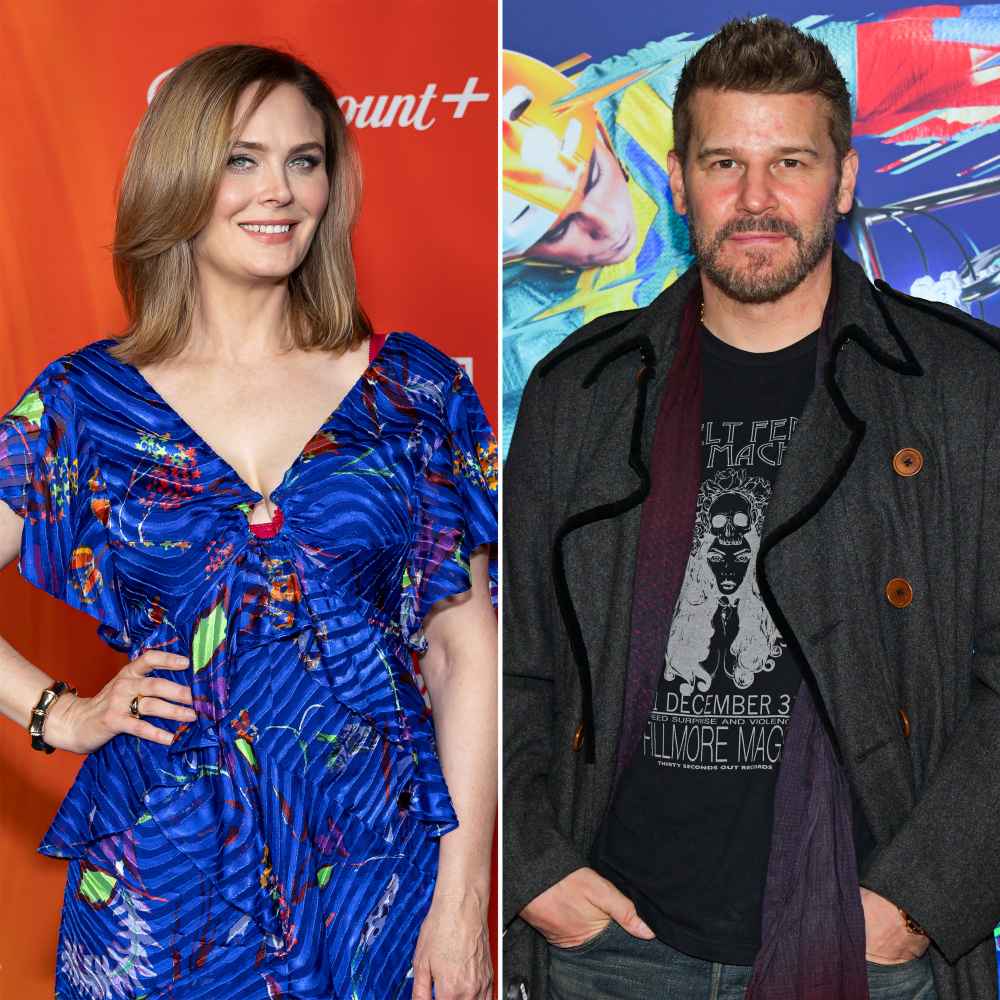 Emily Deschanel Is Surprised David Boreanaz Is Interested in Bringing Back Bones