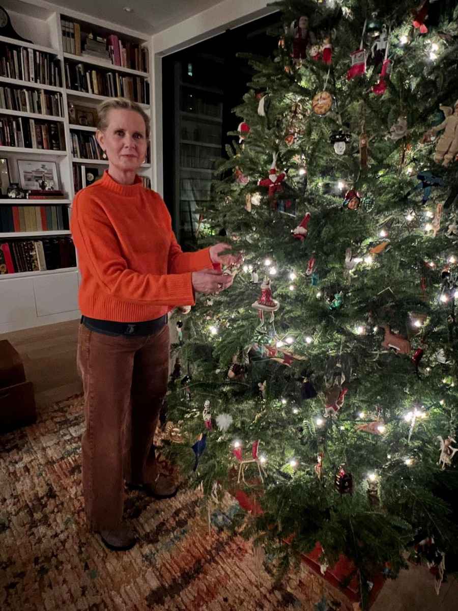 Stars They re Just Like Us Cynthia Nixon