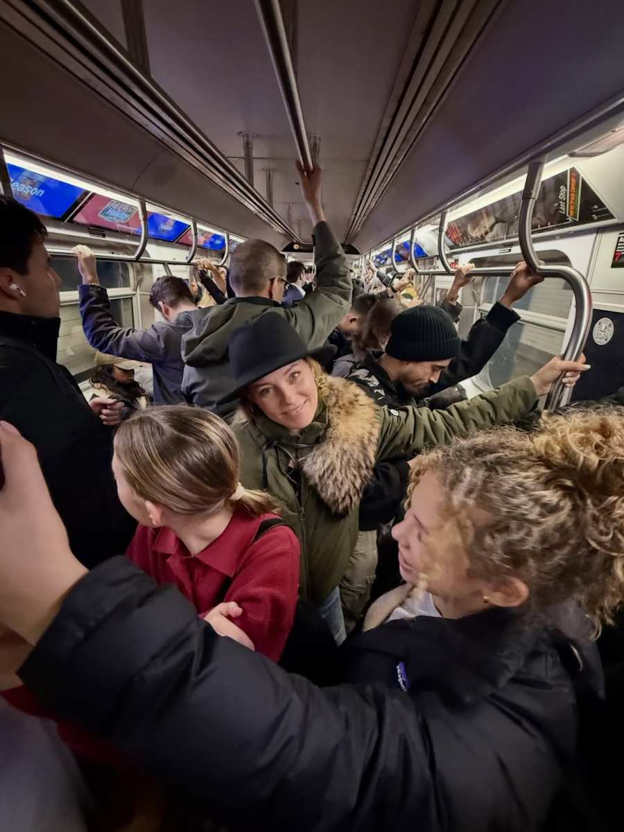 Stars They re Just Like Us Elizabeth Banks