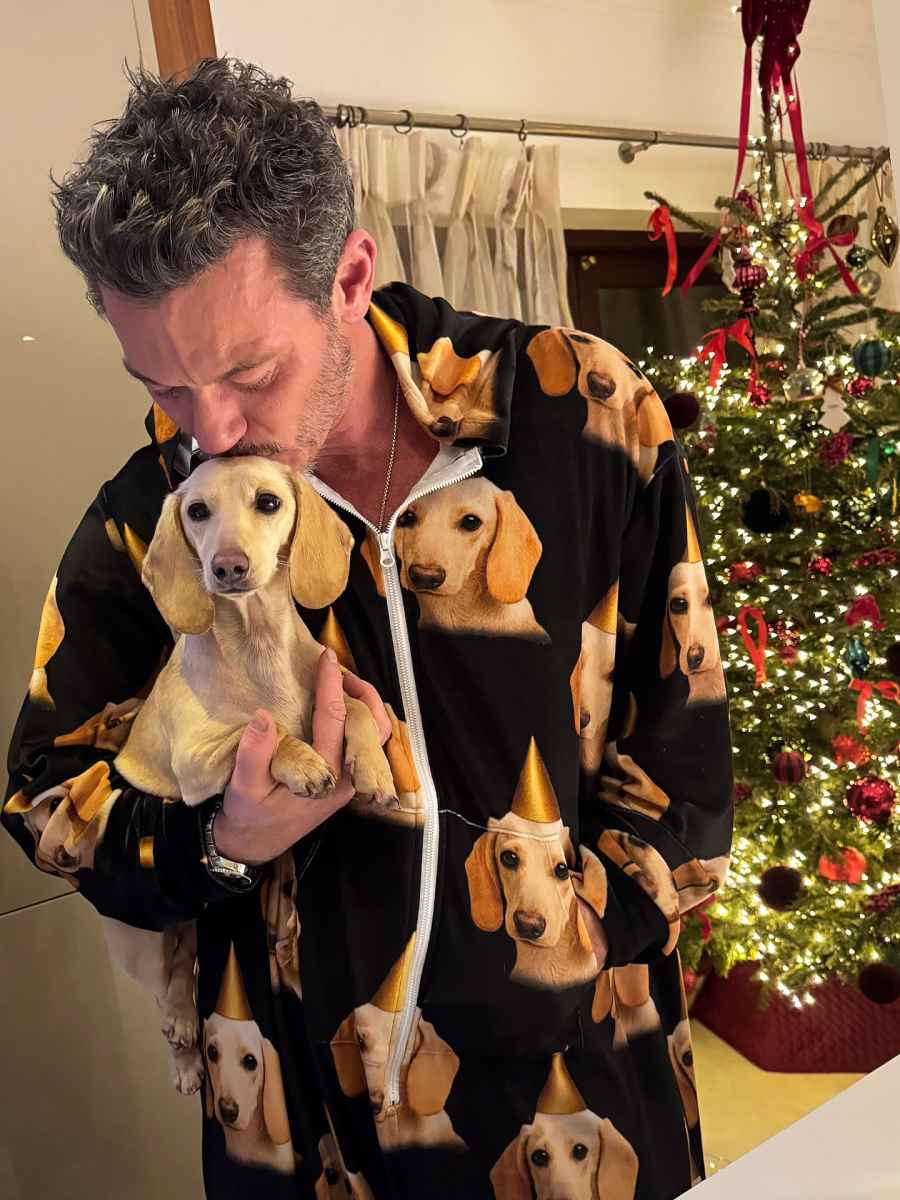 Luke Evans They Are Over the Top About Showing Their Doggie Devotion Just Like Us