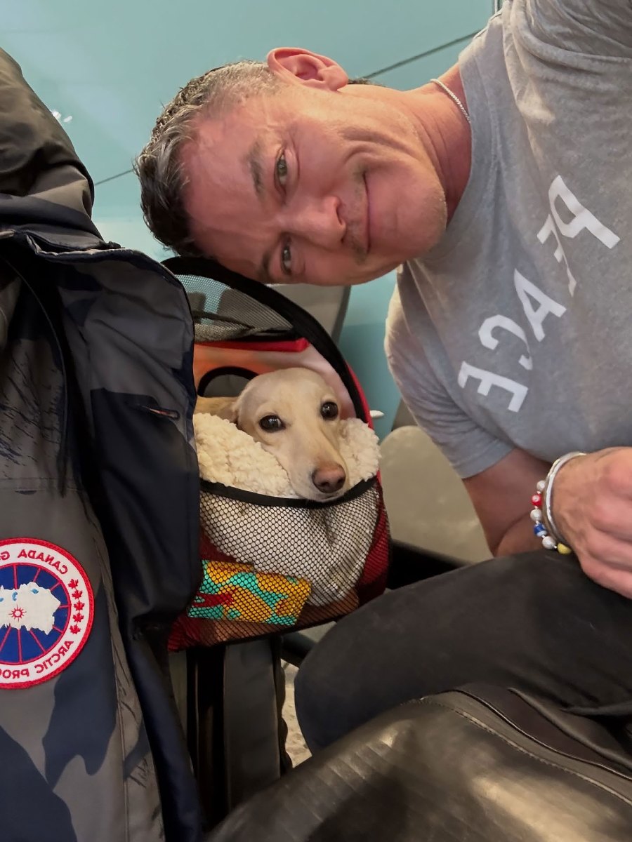Luke Evans They Travel With Their Dogs Just Like Us