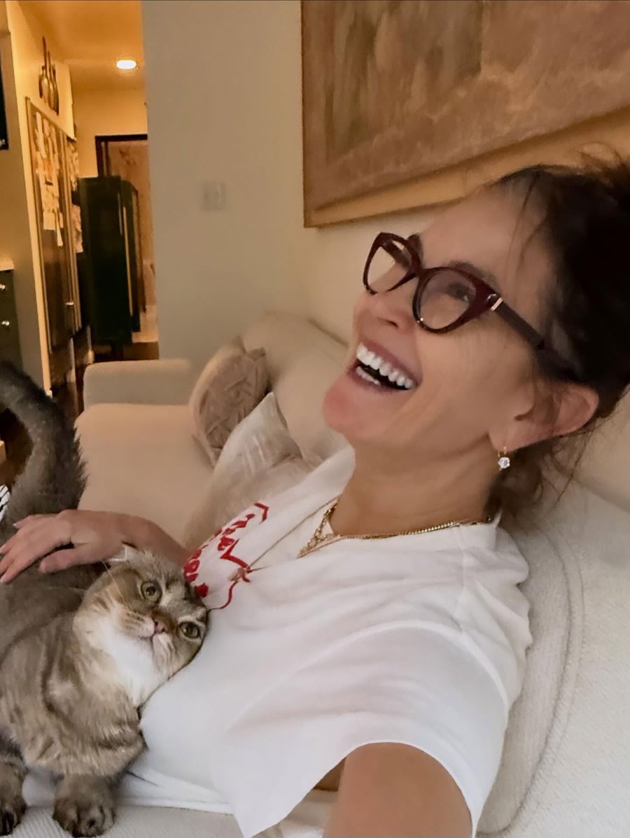 Teri Hatcher Theyre Happy to Be Their Cats Pillow Just Like Us