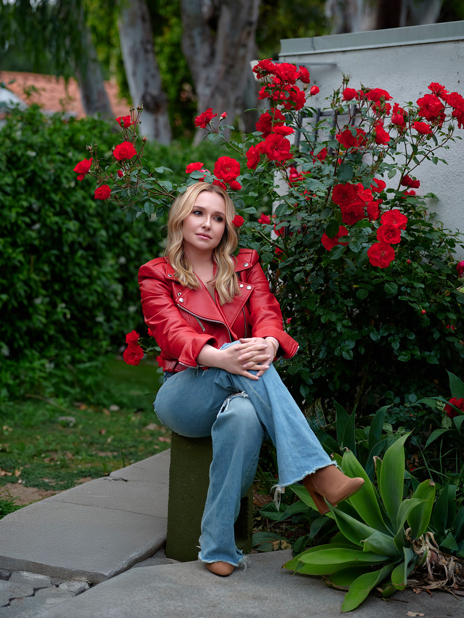 Feature Hayden Panettiere 2620 Us Weekly Cover Story