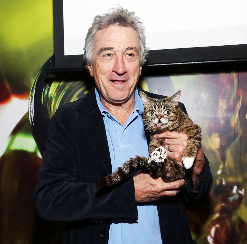 Robert De Niro Lil Bub